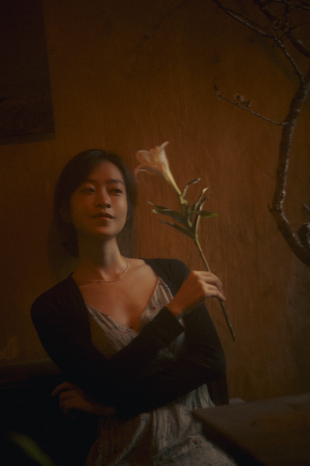 Hoà Bình – Feminine Power Profile